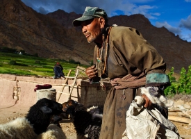 Buddyjskie klasztory Ladakhu – fotoekspedycja